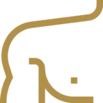 Icon image of back and shoulder for laser hair removal.